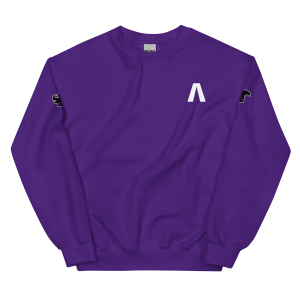 Sweatshirt QFS (Night Edition) – ΛDAM × Philis Corp. Shop